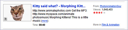 kittyfeatured.jpg